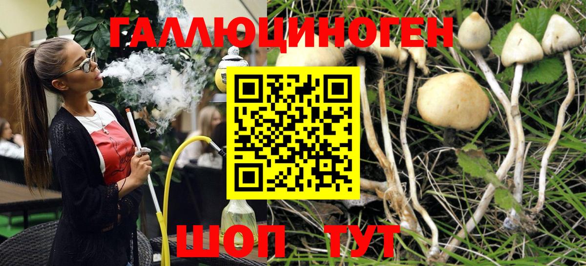 Псилоцибиновые грибы мухоморы Балахна