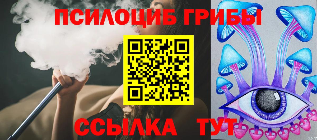 Балахна  где купить наркоту  Вход с VPN  Псилоцибиновые грибы MAGIC MUSHROOMS 